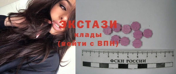 СК Алексин