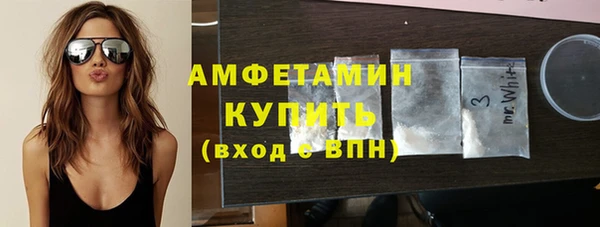 СК Алексин