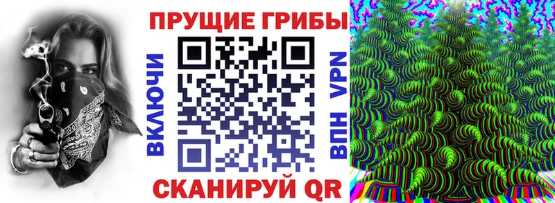 Псилоцибиновые грибы прущие грибы  что такое   darknet состав  Кадников 